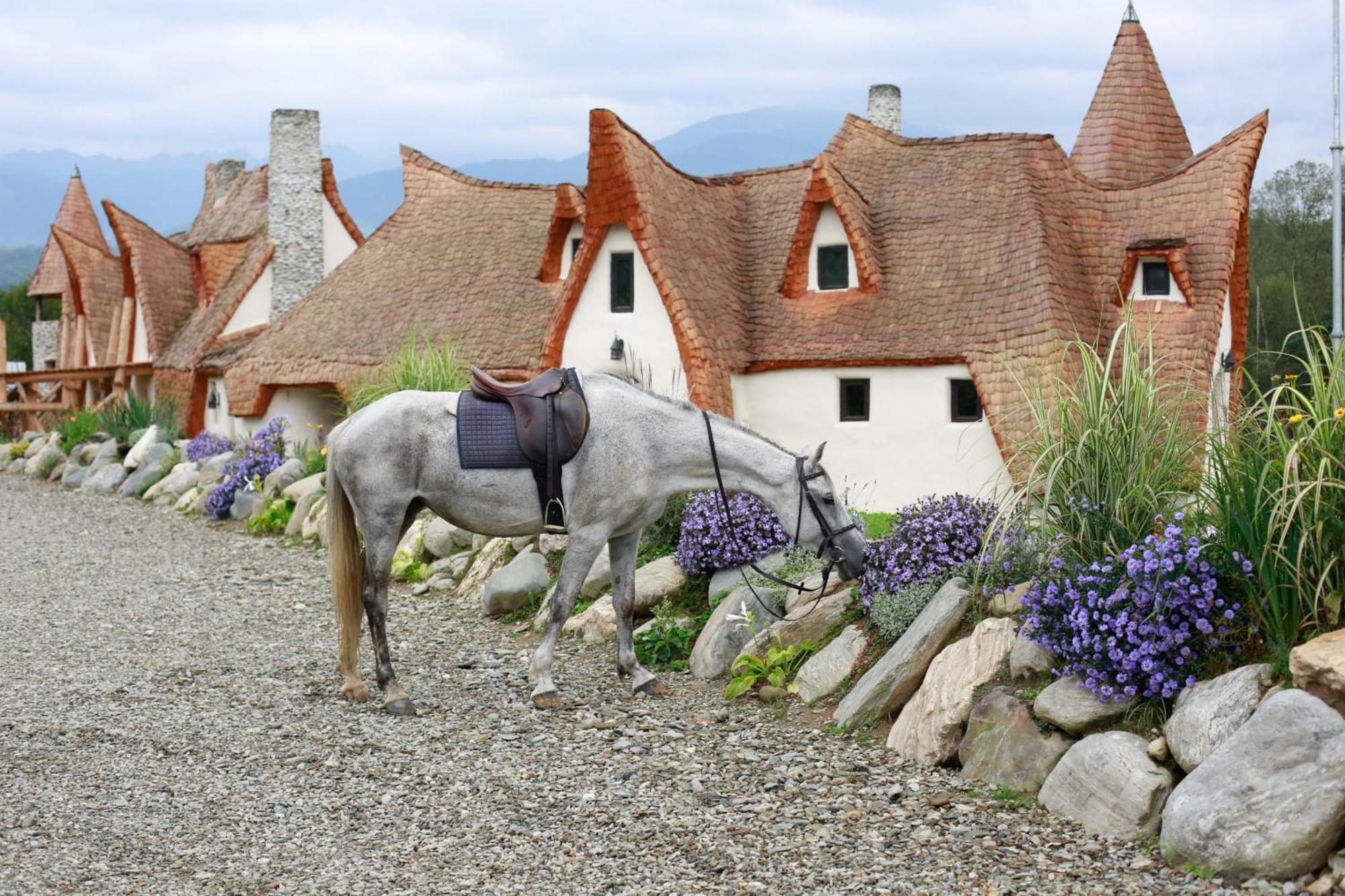 Epic House Valea Avrigului 빌라 외부 사진